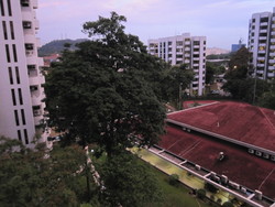 Cashew Heights Condominium (D23), Condominium #186779412